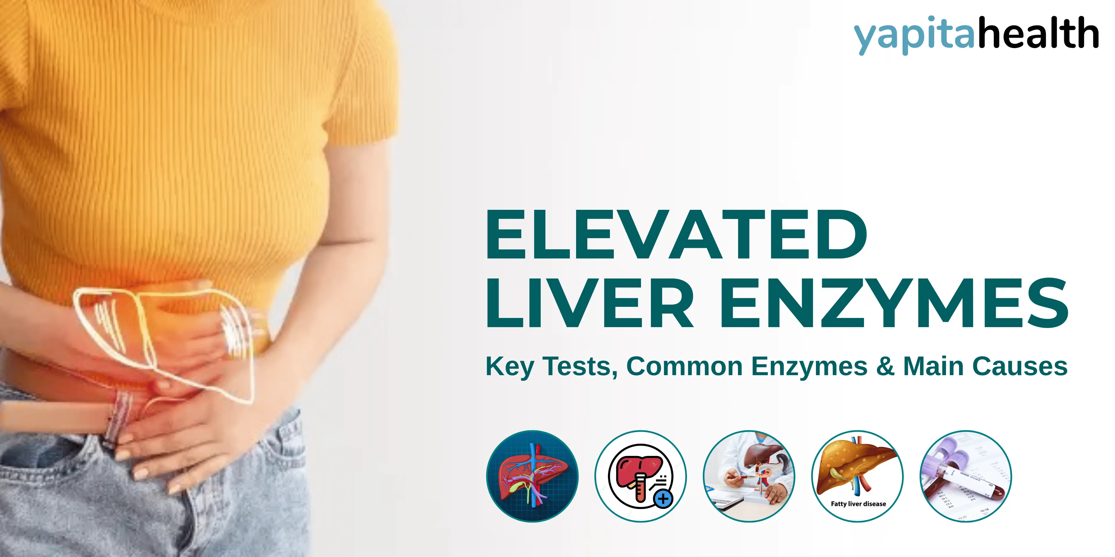 Elevated Liver Enzymes - Yapita Health