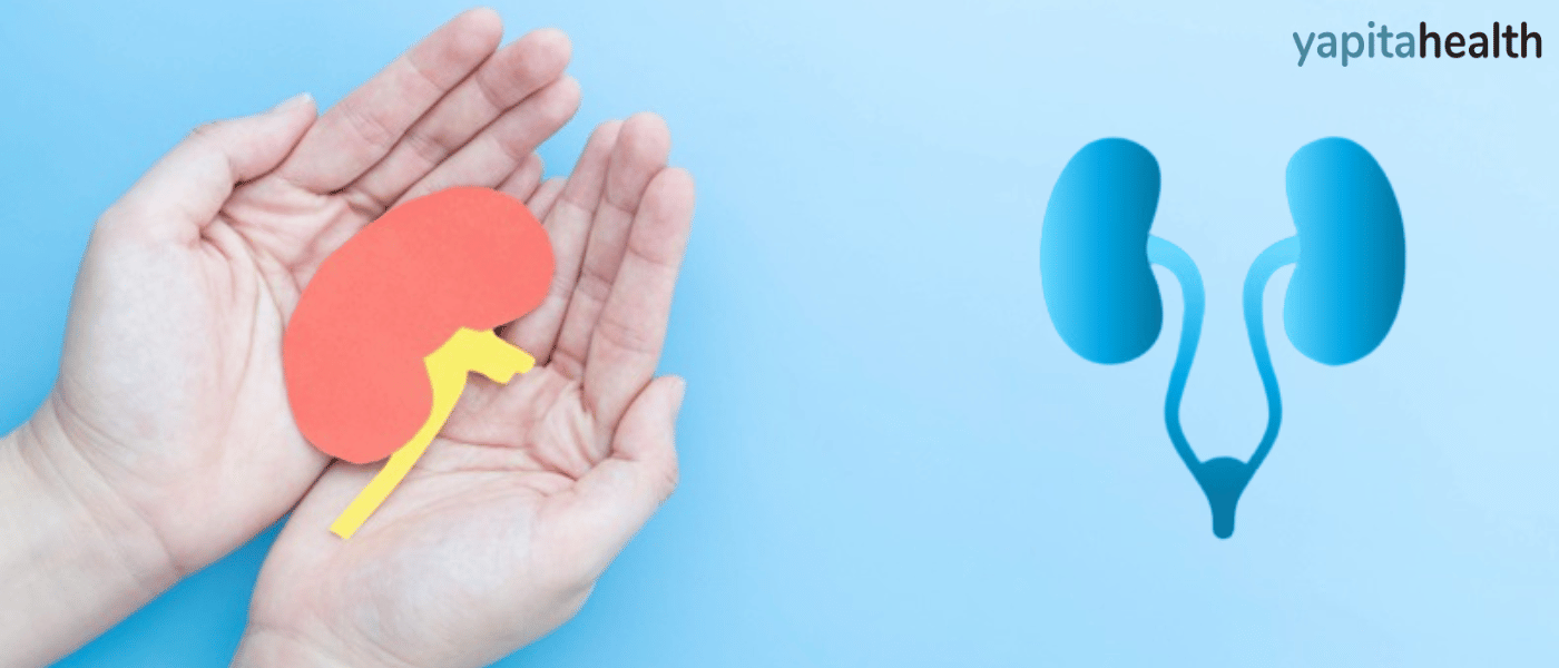 Kidney Transplant at Yapita Health: Making your life better!