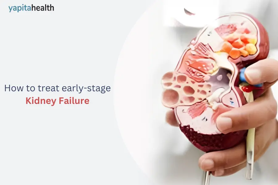 How to treat early-stage Kidney Failure