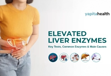 Elevated Liver Enzymes - Yapita Health