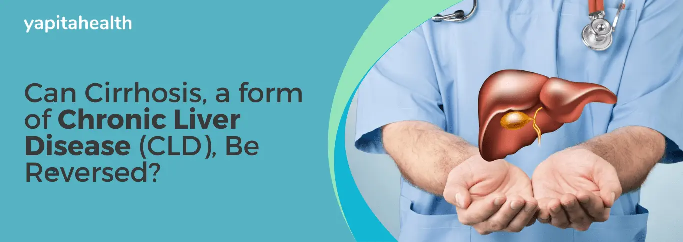 Liver Transplant Price in India - Yapita Health