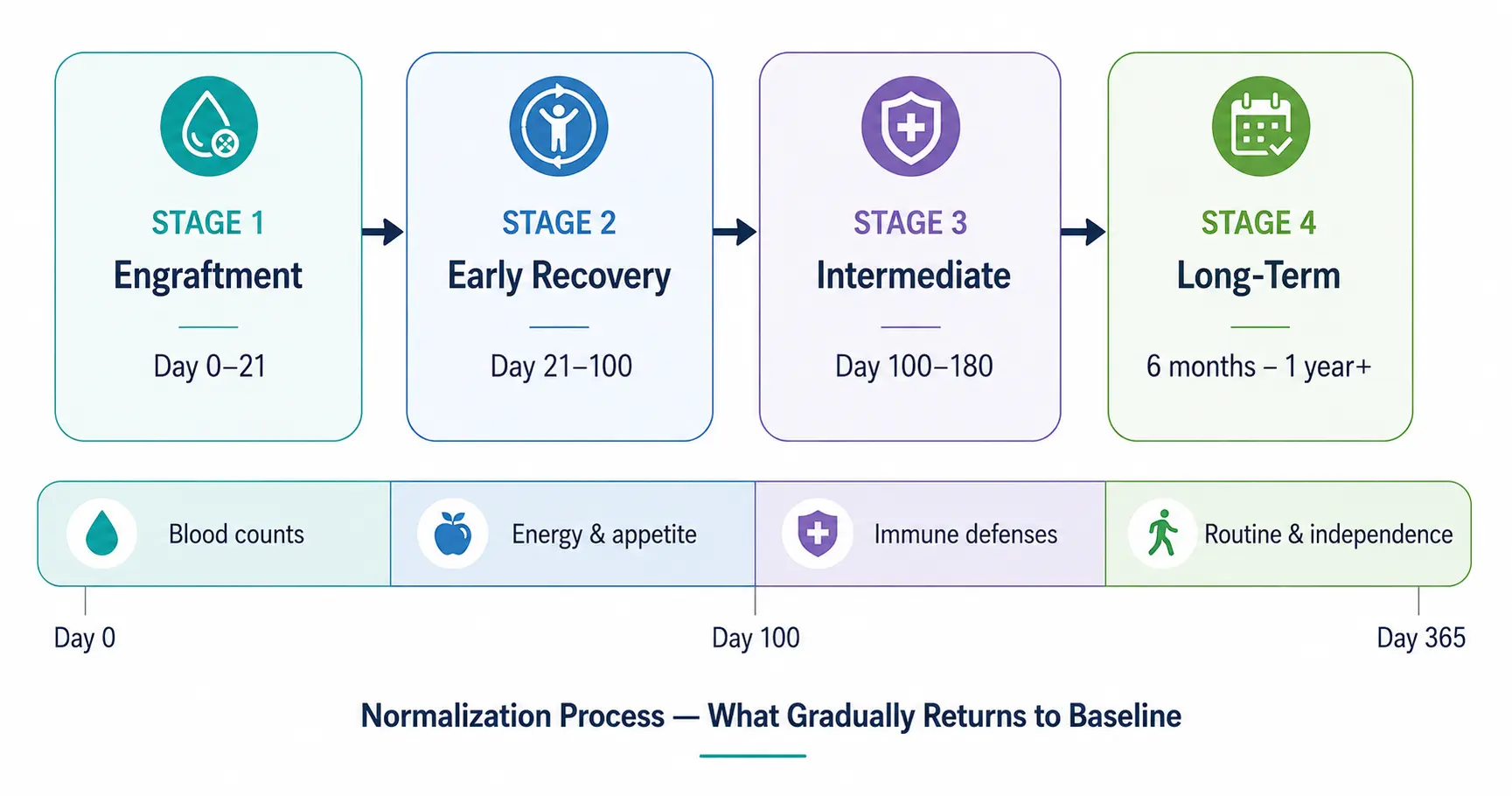 bmt recovery process