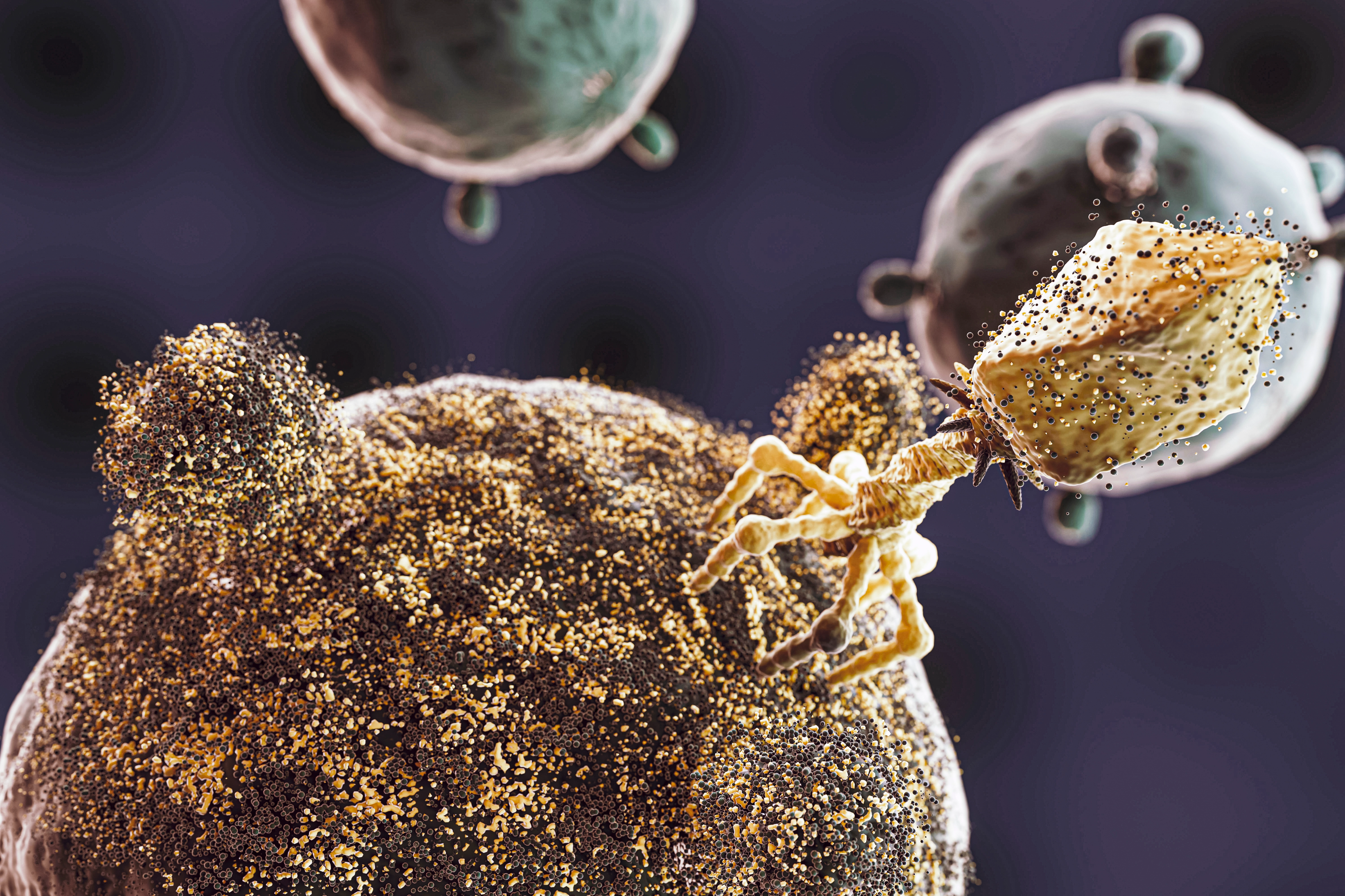 advanced cancer treatment in Germany includes oncolytic viruses that target cancer cells