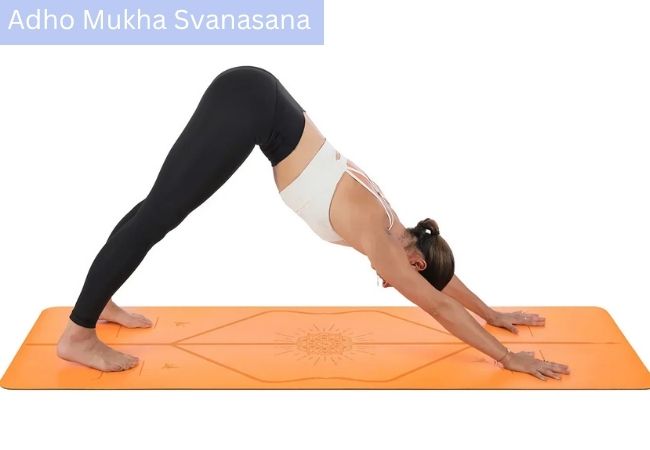 Adho Mukha Svanasana